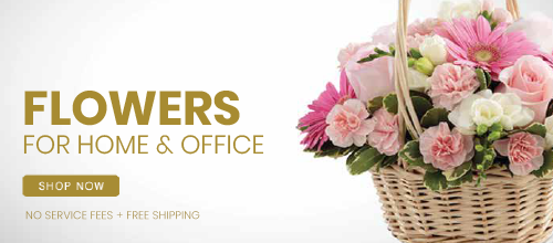 Flowers For Home & Office