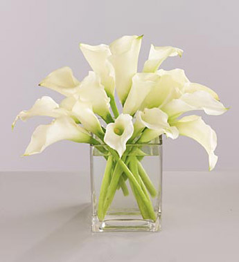 Polar White Calla Lily Bouquet